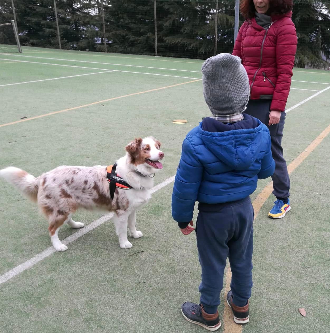 5 mamma prendiamo un cane 2