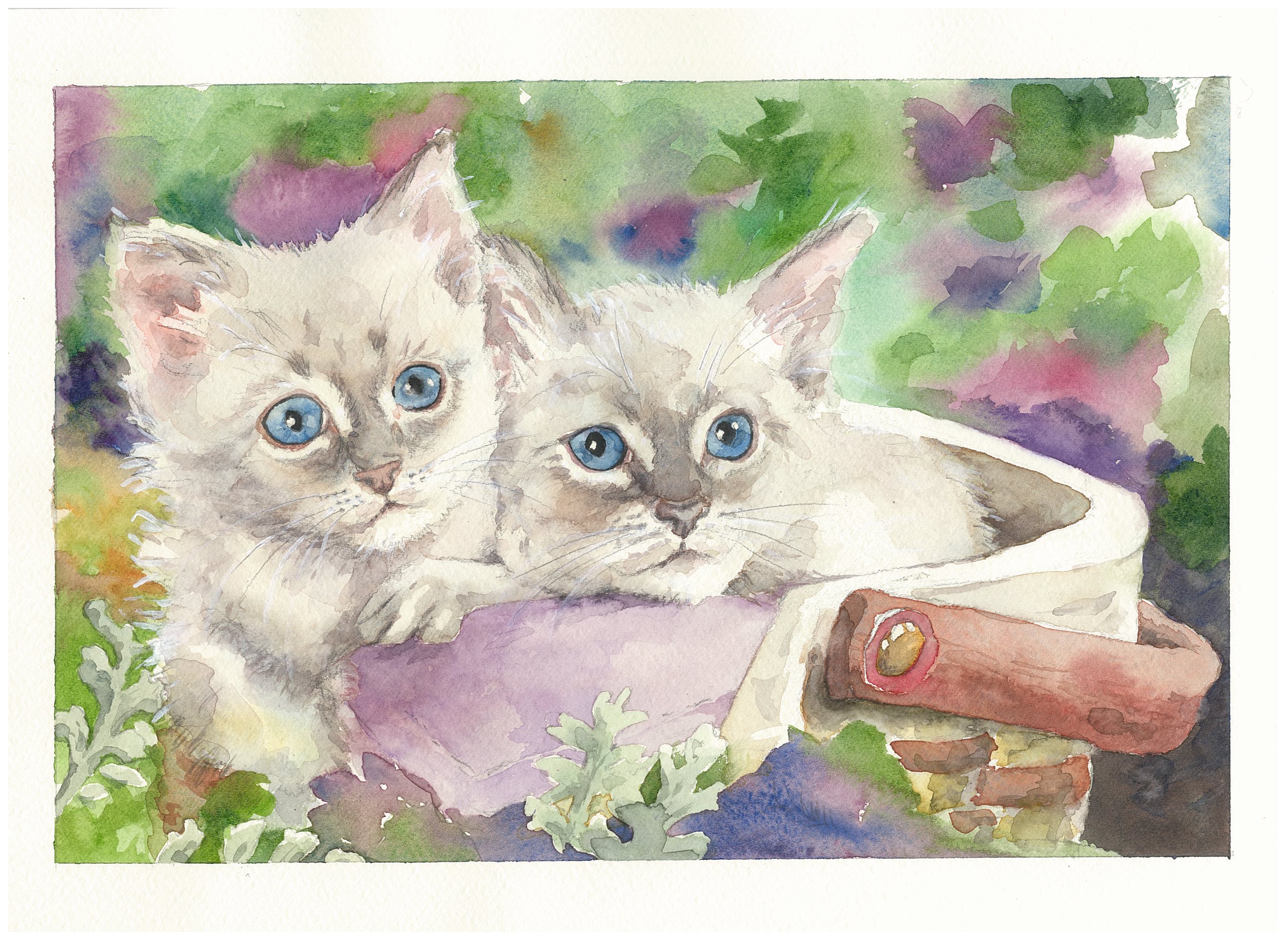 Mostra “Uomini e gatti”, acquerelli di Angela Macario alla Biblioteca civica di Alba