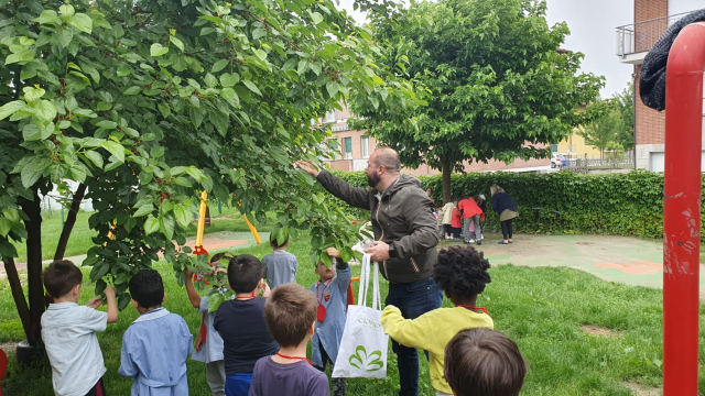 Le scuole dell’infanzia di Alba danno il via alla collocazione di migliaia di coccinelle per la difesa biologica integrata di alberi e piante